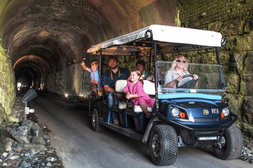 A group of five people rides in a golf cart through a moss-covered tunnel, with lights illuminating the path ahead.