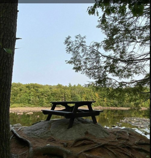 A picnic table on a rocky outcrop by a calm lake, surrounded by trees and a clear sky.