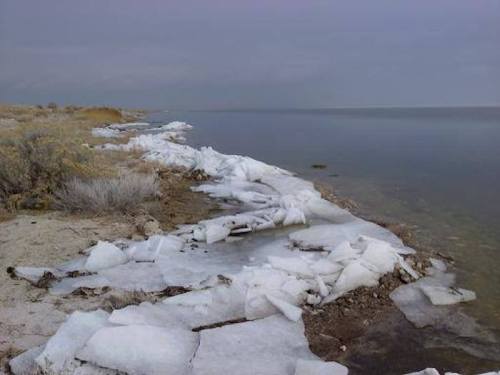 A shoreline with patches of ice and snow along a calm body of water under a cloudy sky.