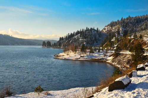 A serene winter landscape featuring a snowy shoreline, calm water, and evergreen trees under a clear blue sky.