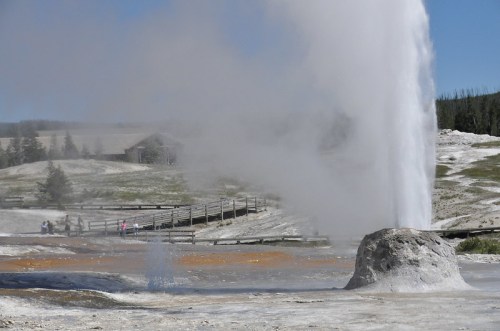 A geyser erupts in Yellowstone National Park, surrounded by steam and colorful mineral deposits. Visitors are in the background.