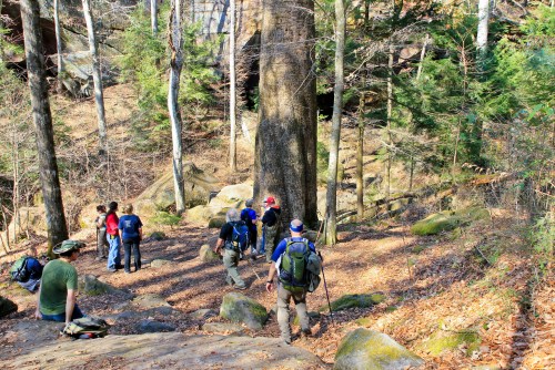 A group of hikers explores a rocky forest area with tall trees and boulders, enjoying a sunny day outdoors.