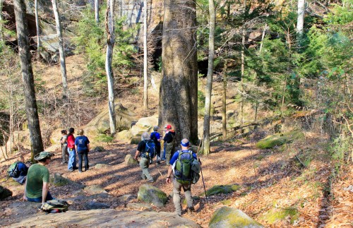 A group of hikers explores a wooded area with large trees and rocky terrain, surrounded by autumn foliage.