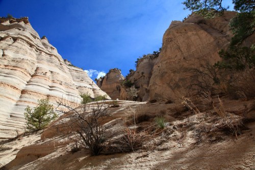 A rocky canyon with towering cliffs under a bright blue sky, featuring sparse vegetation and dry terrain.
