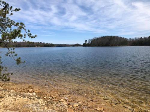 A serene lake surrounded by trees under a blue sky with wispy clouds, featuring a rocky shoreline.