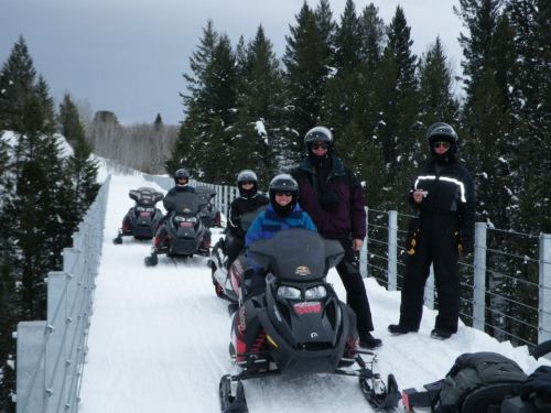 A group of six people on snowmobiles on a snowy trail surrounded by tall evergreen trees.