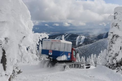 A snowcat vehicle navigates through a snowy landscape, surrounded by tall snow-covered trees and mountains in the background.