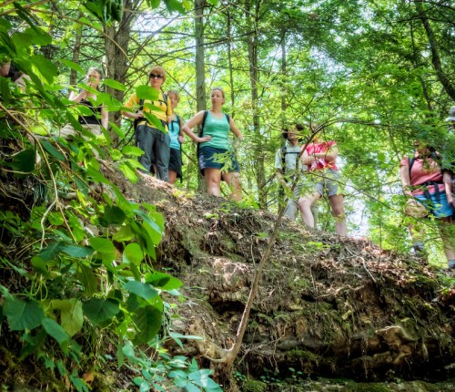 A group of hikers stands on a hillside surrounded by lush greenery, enjoying a sunny day outdoors.