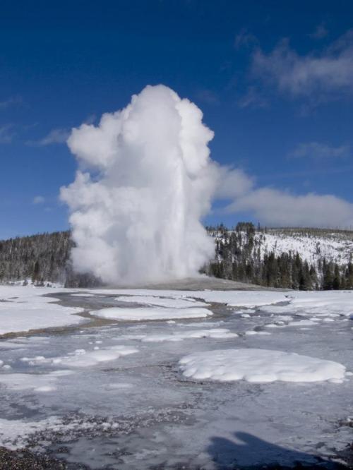 A geyser erupts, sending a plume of steam and water into a clear blue sky, surrounded by snow-covered ground and trees.