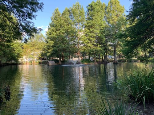 A serene pond surrounded by lush trees, featuring a fountain and calm water reflecting the greenery.