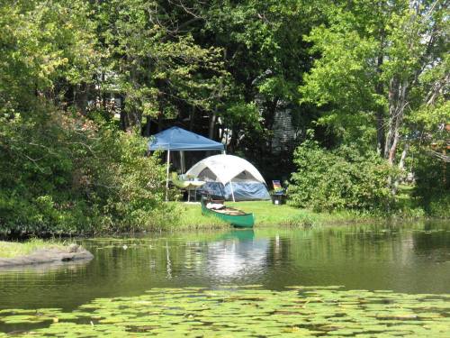 A serene lakeside scene with a green canoe, a tent, and a blue canopy surrounded by lush trees and lily pads.