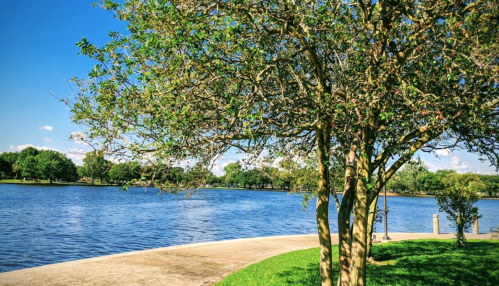 A serene lakeside scene featuring a tree, green grass, and clear blue skies reflecting on the water.