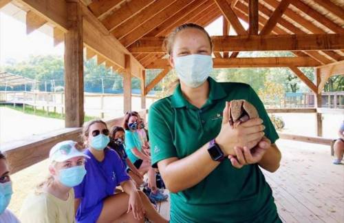 A masked instructor holds a lizard while a group of masked students watches from a distance in a wooden pavilion.