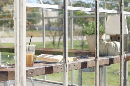 A cozy indoor space with a book, iced coffee, a plant, and a decorative pumpkin on a wooden shelf by a window.