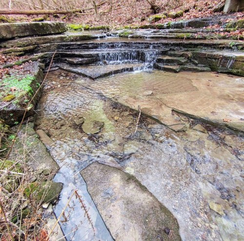 A serene stream flows over layered rocks in a wooded area, surrounded by fallen leaves and moss.