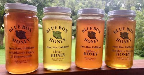 Four jars of honey labeled "Blue Box Honey" in various flavors: Wildflower, Clover, and Blackberry Blossom, set against a green background.