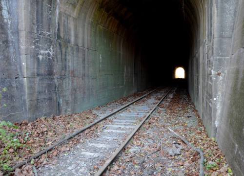 A dimly lit railway tunnel with tracks leading into darkness, framed by a bright light at the far end. Leaves scattered on the ground.