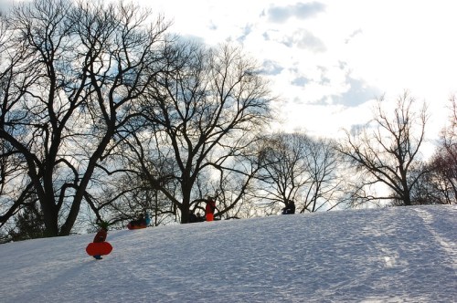Children sledding down a snowy hill, with bare trees and a cloudy sky in the background.
