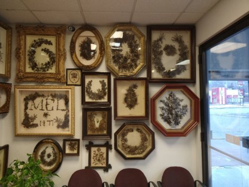 A wall adorned with various framed botanical art pieces in ornate frames, showcasing different shapes and designs.