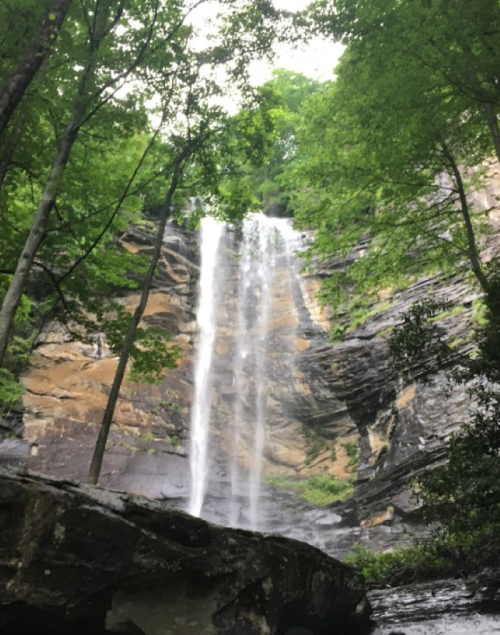 A tall waterfall cascading down rocky cliffs, surrounded by lush green trees and foliage.