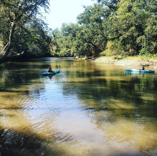 Two kayakers paddle on a calm river surrounded by lush greenery and trees under a clear blue sky.