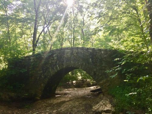 A stone arch bridge surrounded by lush green trees and sunlight filtering through the foliage.
