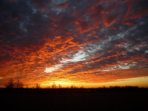 A vibrant sunset with orange and red clouds against a darkening sky, silhouetting distant trees.