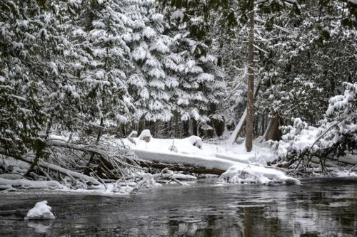 A serene winter scene featuring a snow-covered riverbank surrounded by evergreen trees and a calm, icy river.