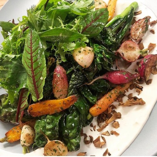 A vibrant salad with mixed greens, roasted radishes, carrots, and herbs on a creamy base, garnished with nuts.