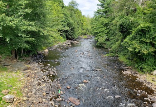 A serene river flows through a lush green landscape, with a person standing on the rocky bank.