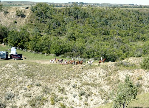 A group of people on horseback near a wooded area, with vehicles parked in the background on a sunny day.