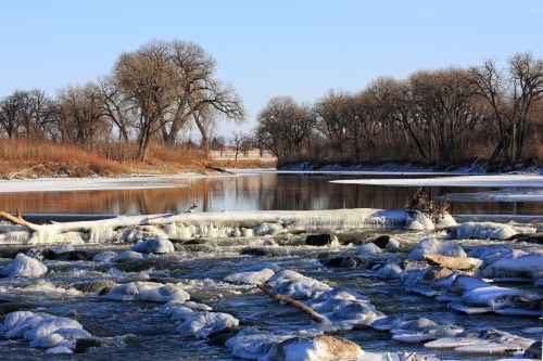 A serene river scene with icy rocks and trees lining the banks, reflecting a clear blue sky.