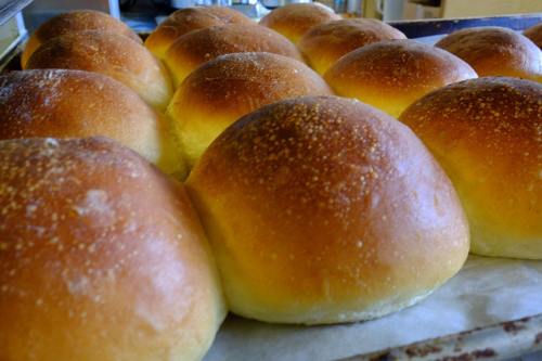 Freshly baked golden brown rolls arranged on a baking tray, showcasing a soft, fluffy texture.