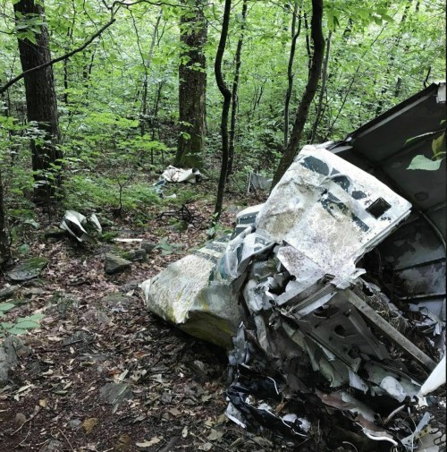 Wreckage of an aircraft partially hidden in a dense forest, surrounded by trees and foliage.