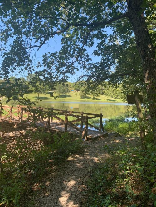 A serene view of a lake surrounded by greenery, with a wooden bridge leading to the water's edge.