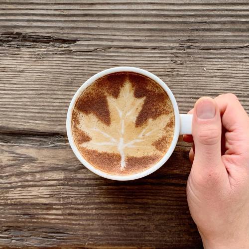A hand holding a white cup of coffee with a leaf-shaped cocoa design on top, resting on a wooden table.