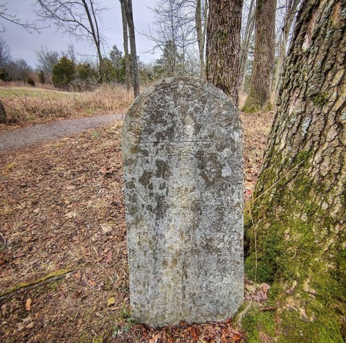 A weathered gravestone surrounded by trees, with a path visible in the background on a cloudy day.