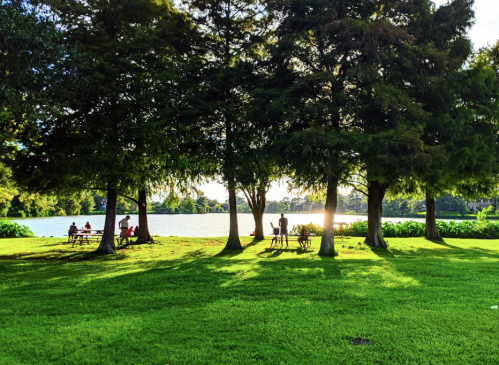 People sitting at picnic tables under trees by a lake, with sunlight filtering through the leaves.