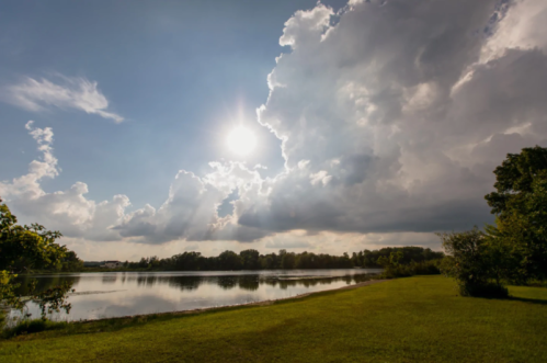 A serene lake scene with lush green grass, reflecting clouds and sunlight in a clear blue sky.