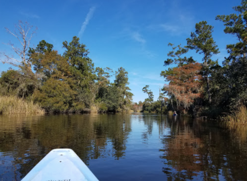 A serene waterway surrounded by lush trees and reflections, under a clear blue sky.