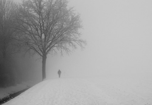 A lone figure walks along a snowy path, surrounded by fog and a bare tree in a winter landscape.