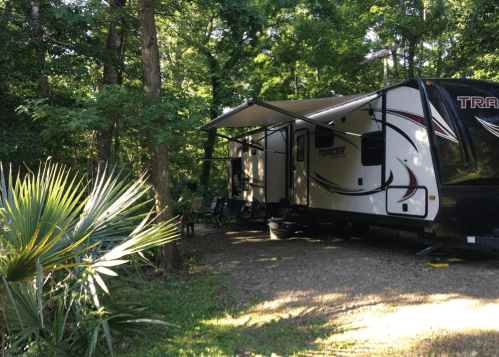 A parked RV in a wooded area, surrounded by trees and greenery, with a patio awning extended.