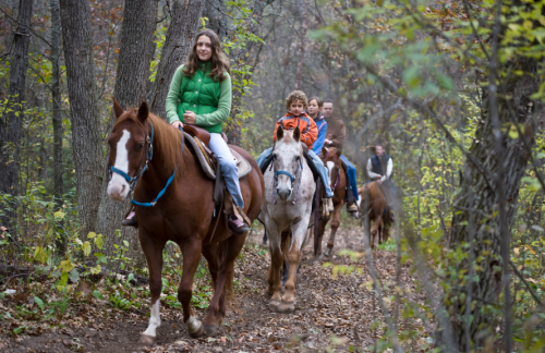 A group of people riding horses along a wooded trail in autumn.