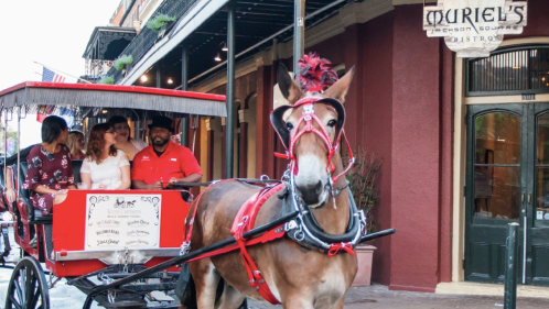 A horse-drawn carriage with passengers outside Muriel's Bistro in a vibrant street scene.