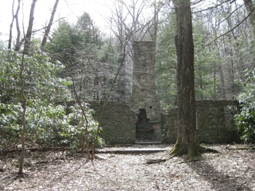Ruins of a stone structure surrounded by trees in a forest, with a tall chimney and overgrown vegetation.