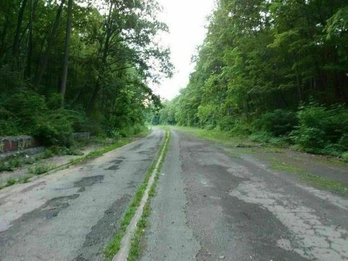 A deserted, overgrown road surrounded by dense green trees and foliage, creating a serene, natural atmosphere.