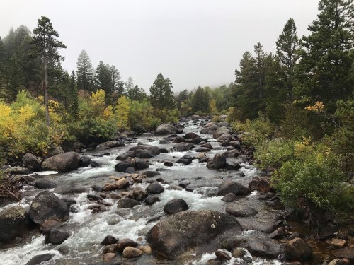 A misty river flows through a rocky landscape, surrounded by trees with autumn foliage.