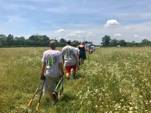 A group of people walking through a grassy field, carrying tools for a community cleanup event on a sunny day.