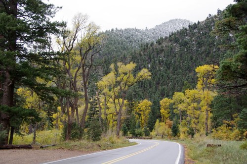 A winding road surrounded by trees with yellow leaves and a snowy mountain in the background.