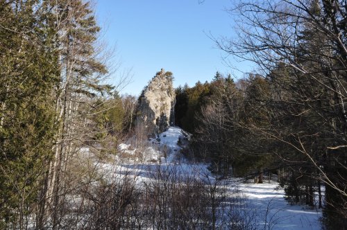 A snowy landscape featuring a rocky outcrop surrounded by trees under a clear blue sky.